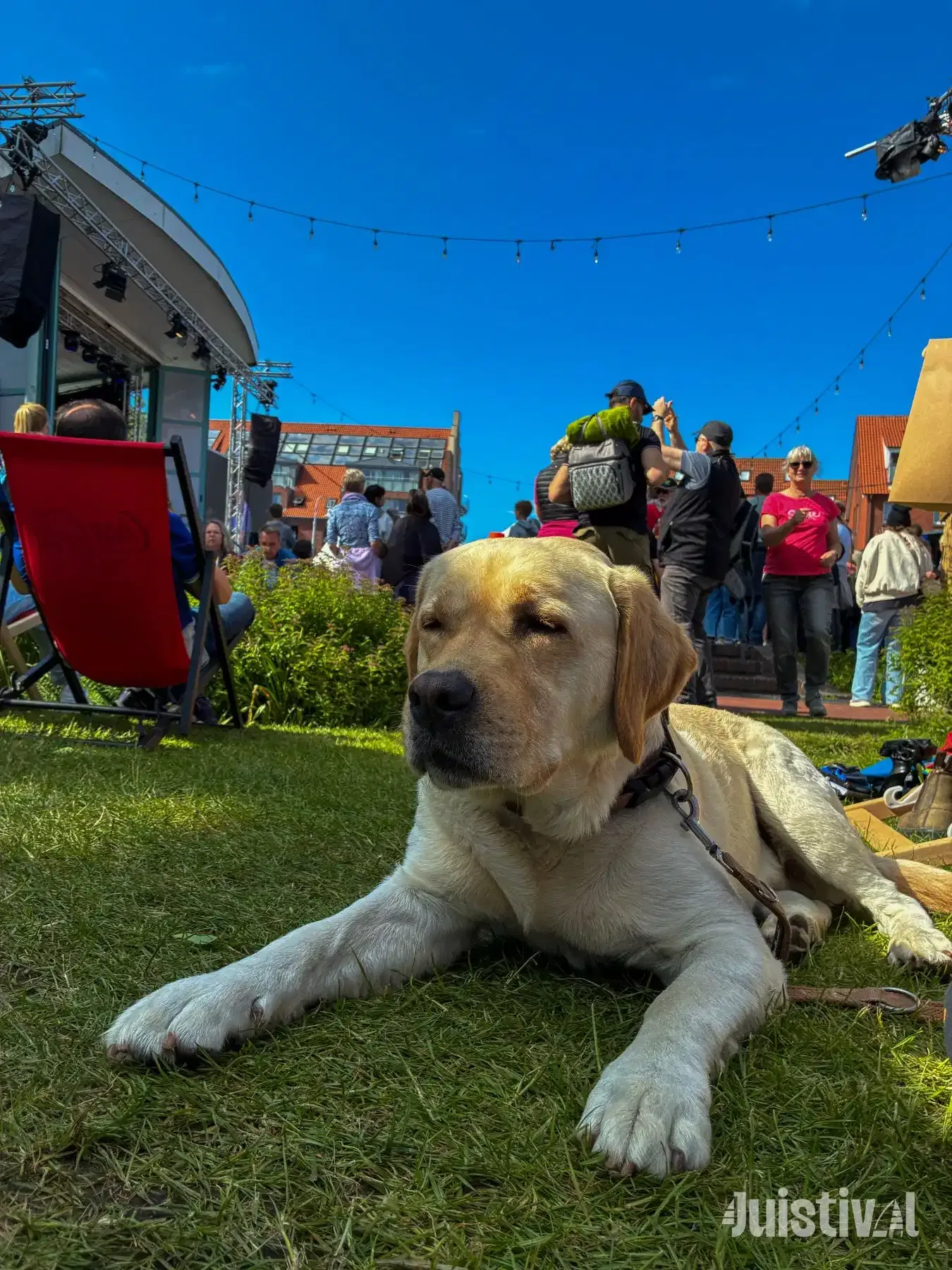 Juistival 2025 – Impression 39